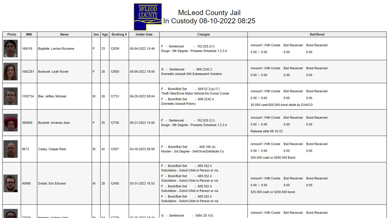 Custody - McLeod County, Minnesota